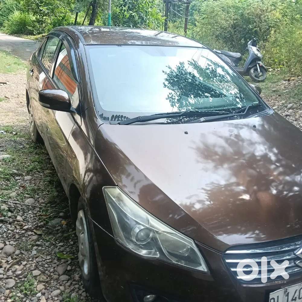 Noc Kat Raki Ha Anb Himachal Pradesh Ke