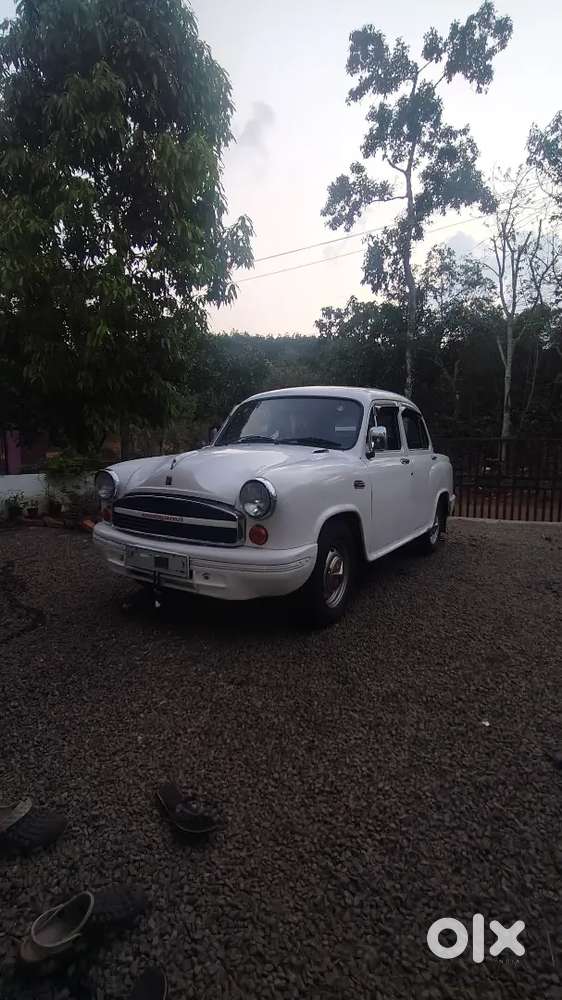 Ambassador Grand  2009 Single Owner