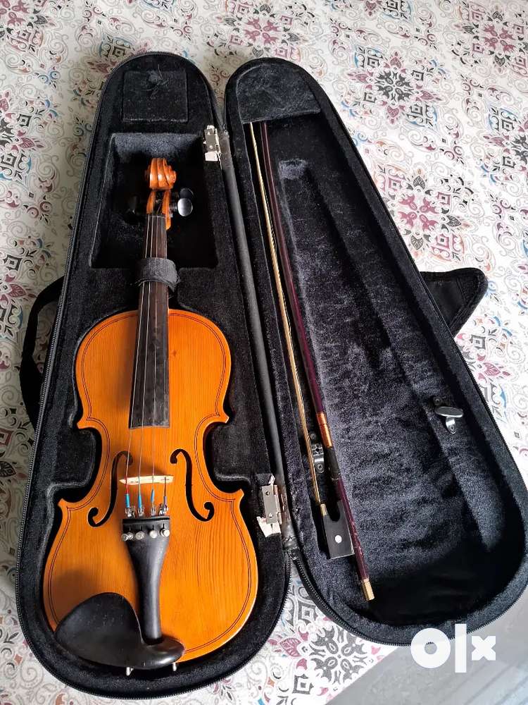 Olx violin top