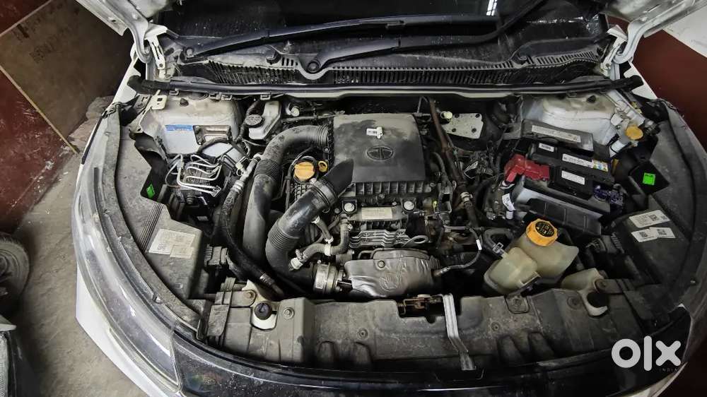Near Perfect Condition