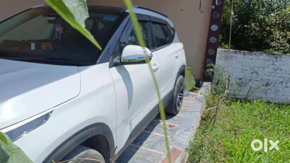 Kia Seltos 2020 Petrol 24443 Km Driven