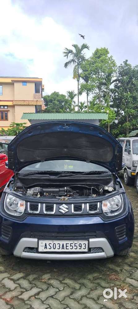 Maruti Suzuki Ignis 1.2 Delta Mt, 2021, Petrol