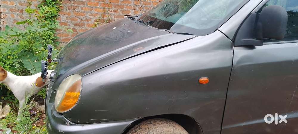 Hyundai Santro Petrol Manual 2001
