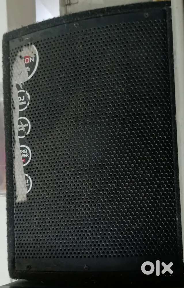 Speaker (10)inch