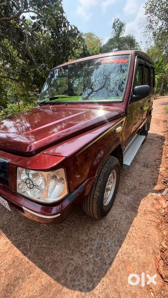 Sumo Gold Well Maintained