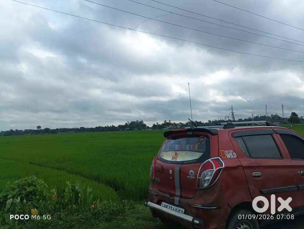 Maruti Suzuki Alto 2013 Petrol Manual
