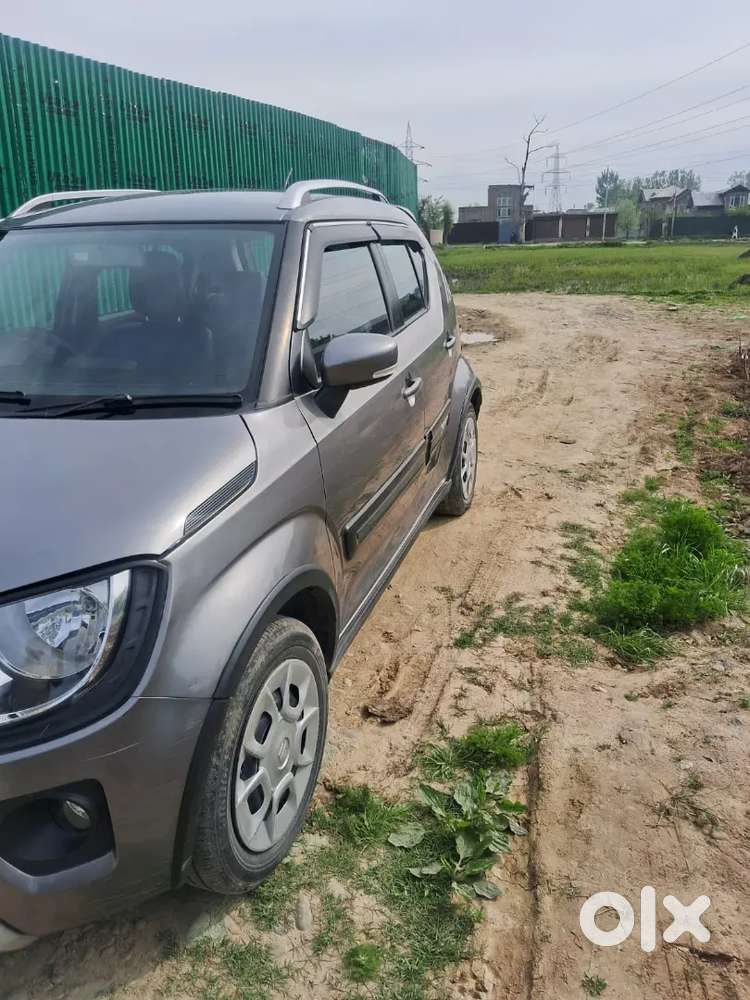 Ignus No Expenditure