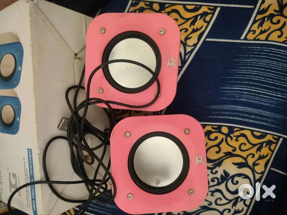 Speaker with charging wire