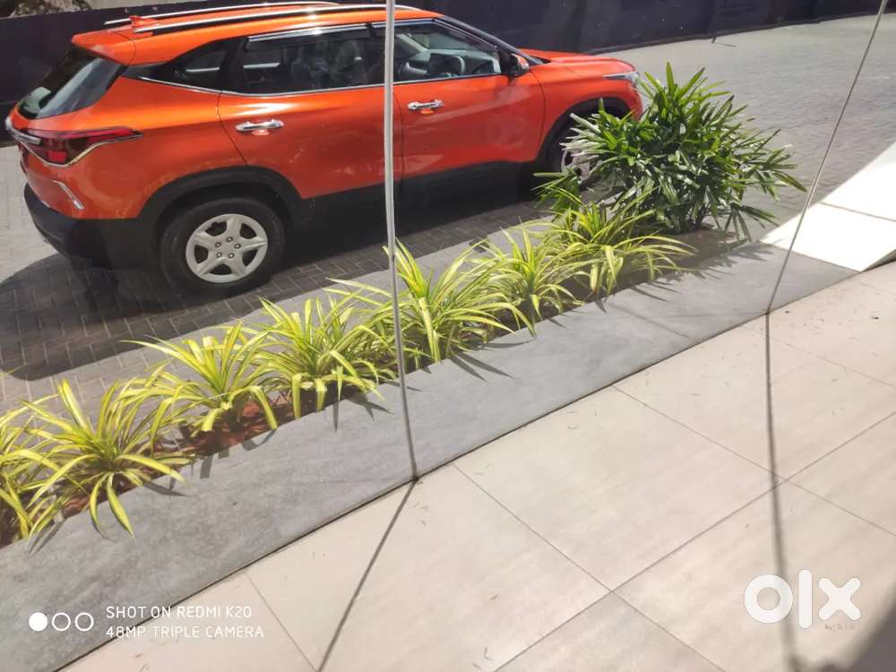 Kia Seltos Petrol 2019