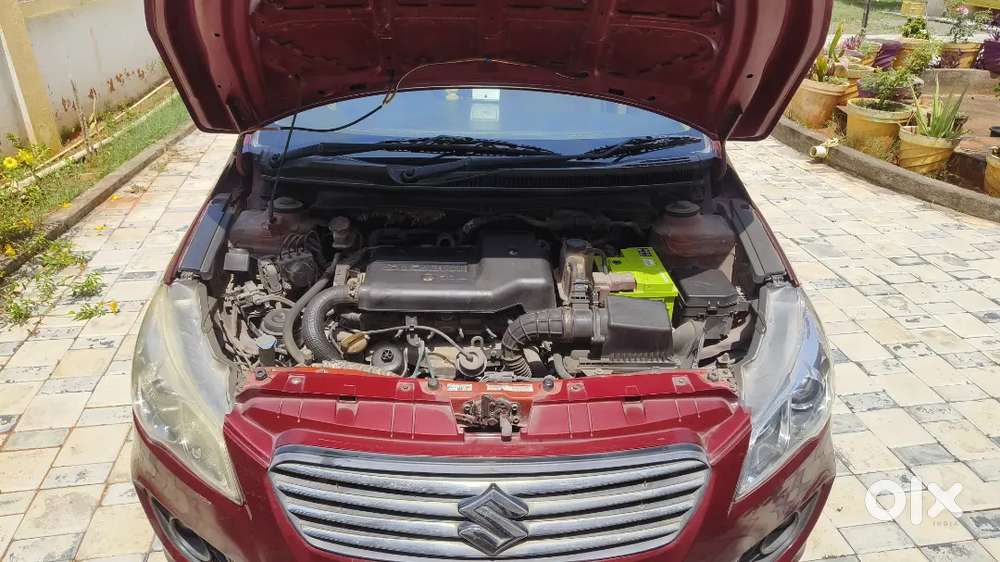 2015 Maruti Ciaz Diesel  Single Owner  1.27l Km  Full Company Servi