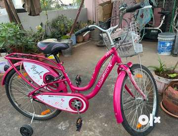 Lady bird cycle images with outlet price