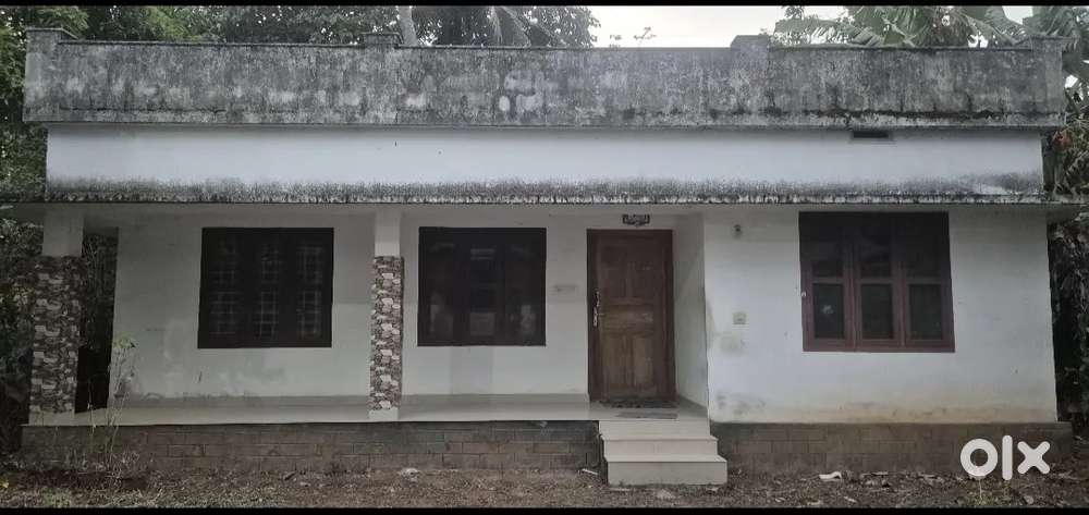 * Location - Kiraloor ( Near veloor Bus stop )