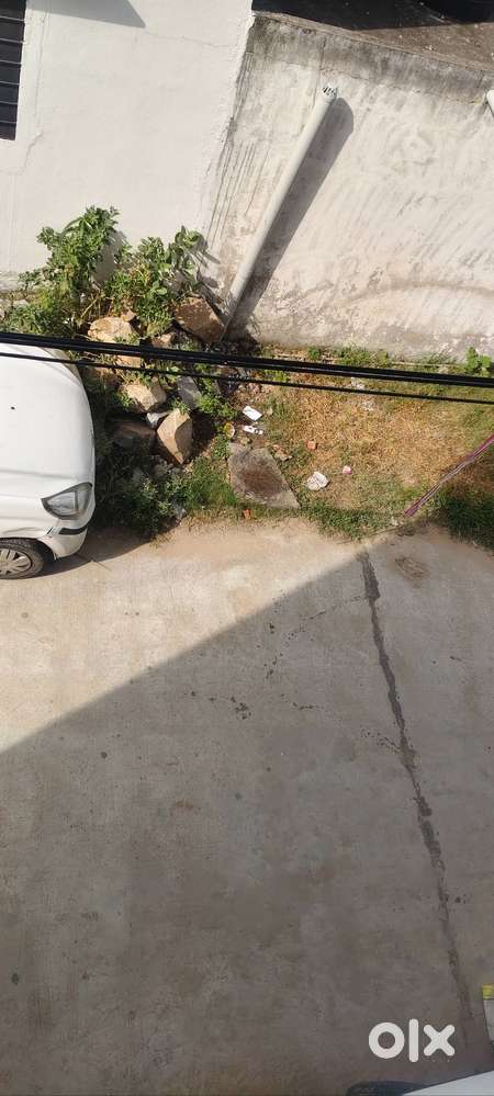 Maruti Suzuki Alto 2014