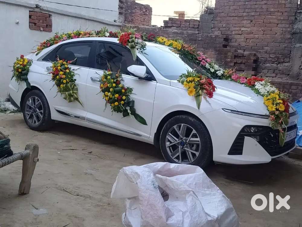 Hyundai Verna Petrol Sx 2024