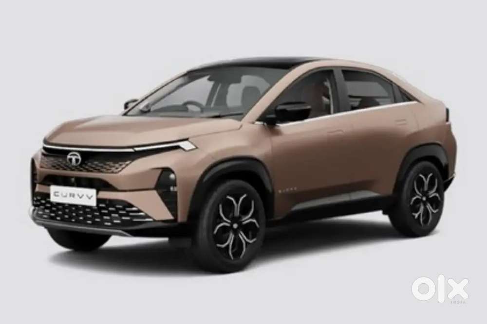 Tata Curvv 2025 Petrol Well Maintained