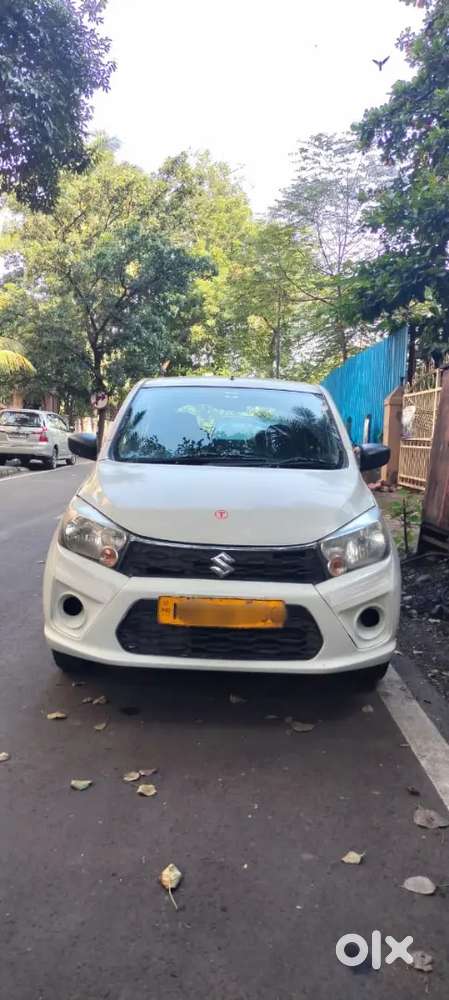 Maruti Suzuki Celerio T Arpmit 2021 Year Model