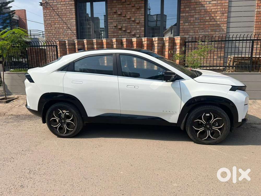 Tata Curvv 2025 Diesel 15000 Km Driven