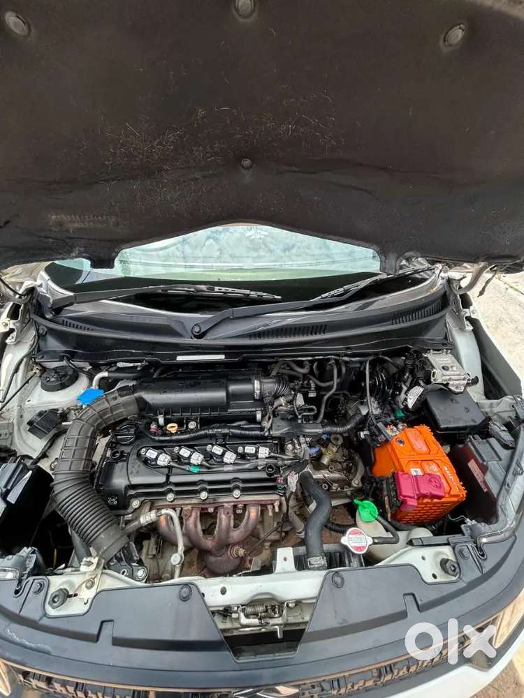 Maruti Suzuki Ignis 2019 Alpha Variant