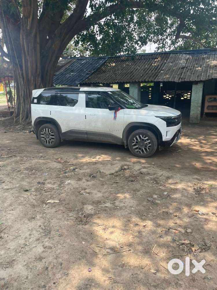 Tata Car Petrol Manual 2026