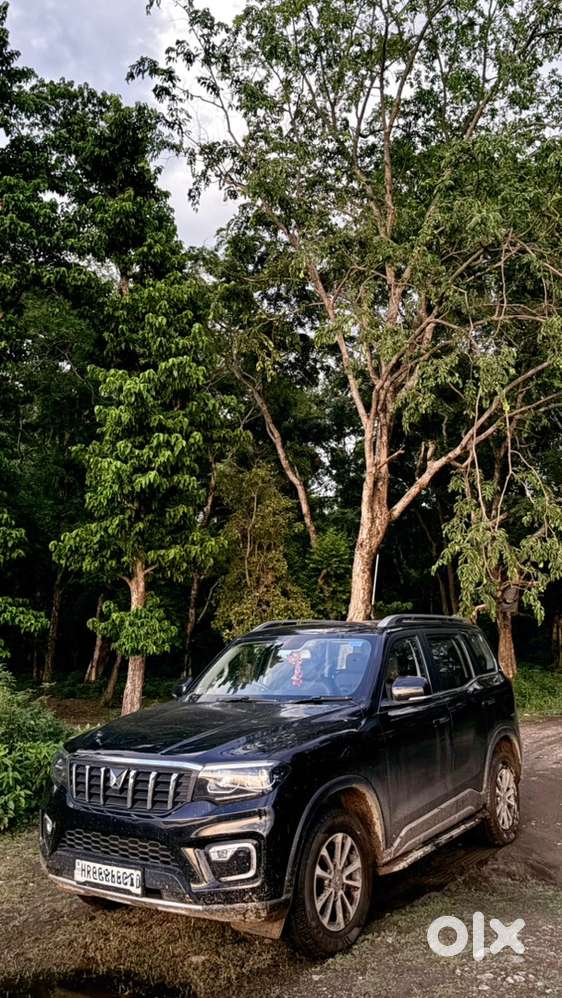 Mahindra Scorpio-n Petrol 2024. Premium Condition Scorpio N