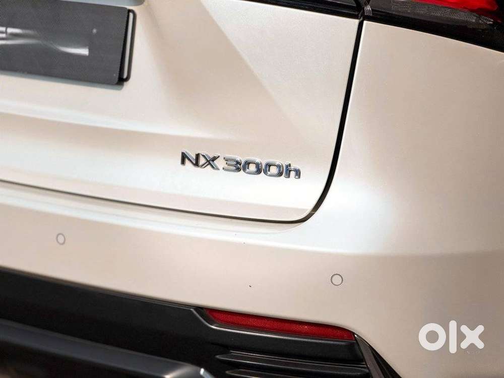 Lexus Nx 300h, 2019, Petrol