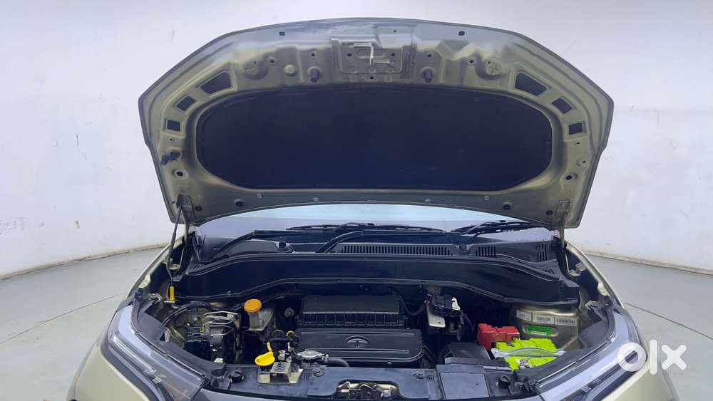 Tata Punch 1.2 Revotron Creative Mt Kaziranga Edition, 2022, Petrol