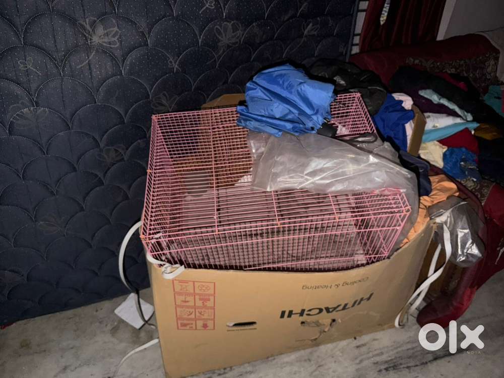cage for rabbit