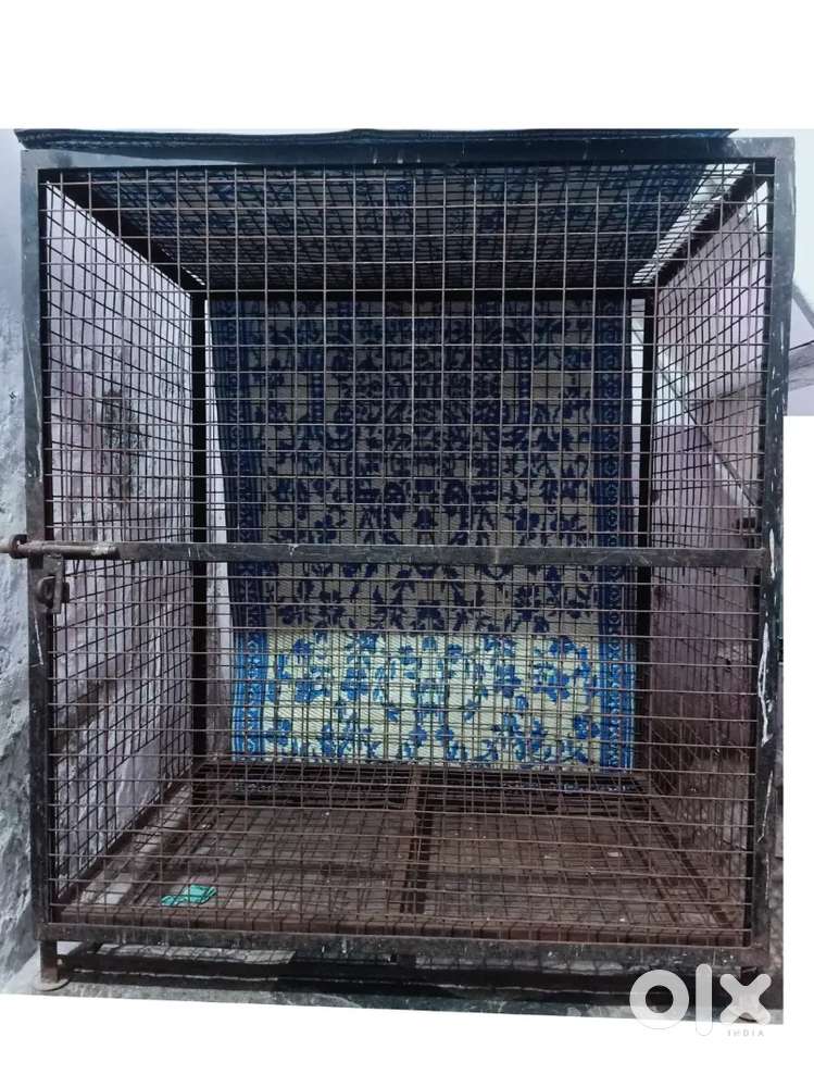 Dog Cage u can also use for other purpose. Pet Food & Accessories 1748319916