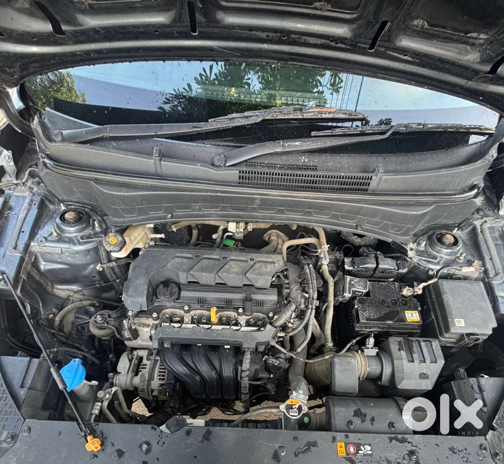 Kia Seltos 2023 Petrol Well Maintained