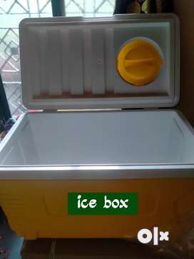 Milton ice best sale box 50 ltr