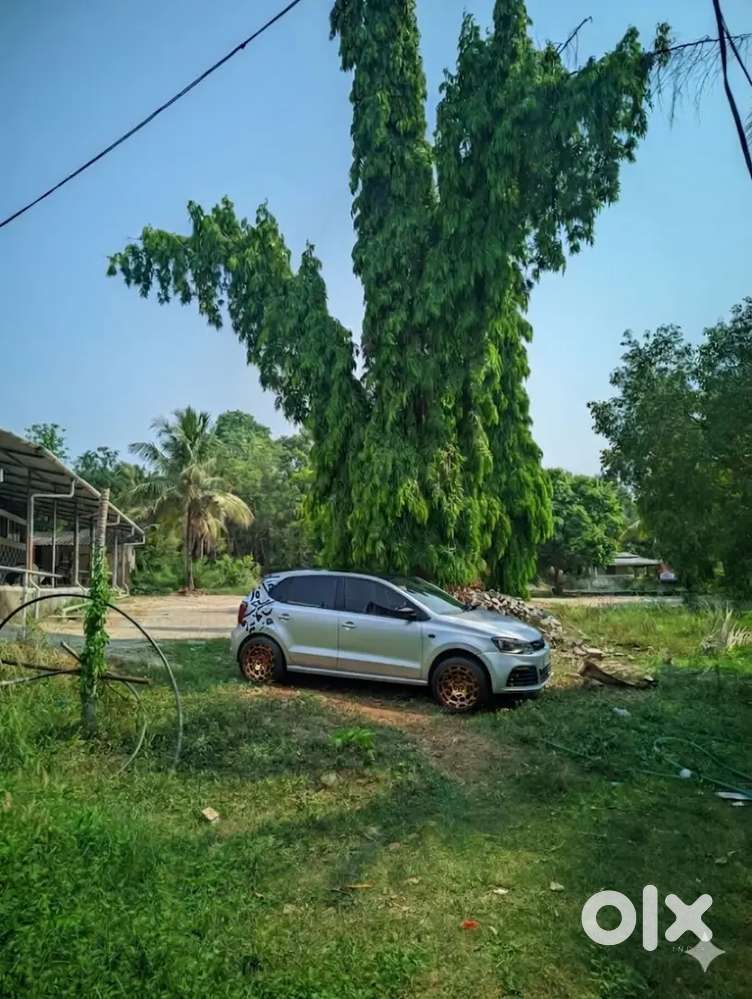 Volkswagen Polo 2011 Model