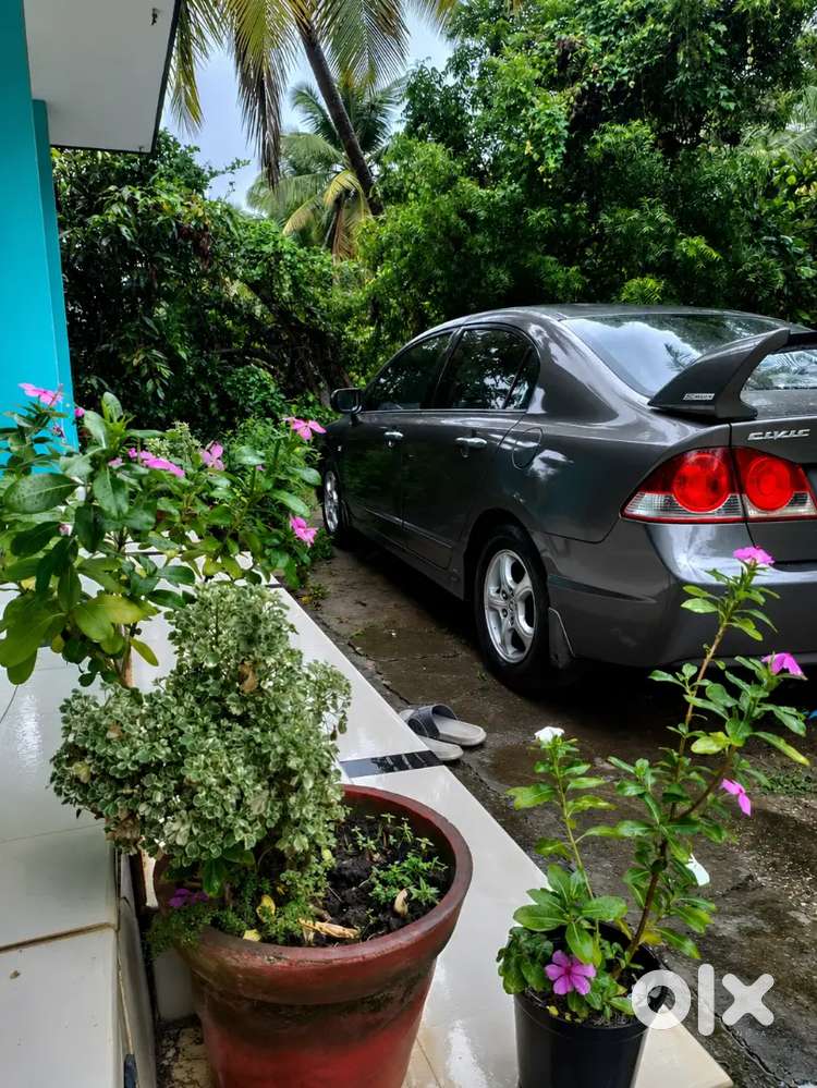 Honda Civic Petrol Mt 2008