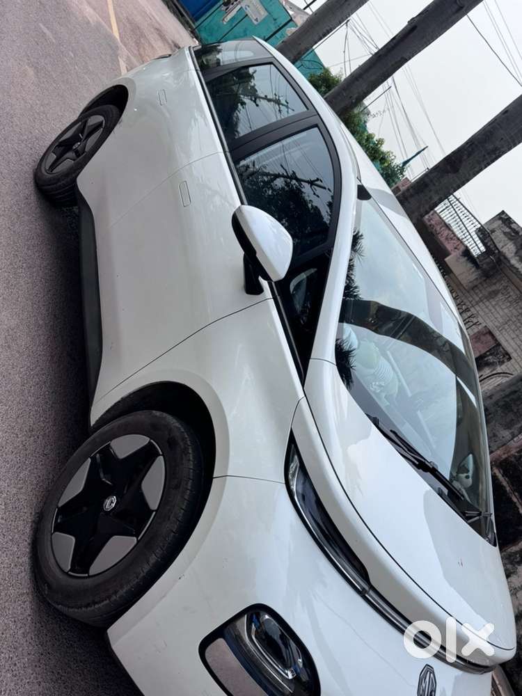 Mg Windsor Ev Single Hand Use