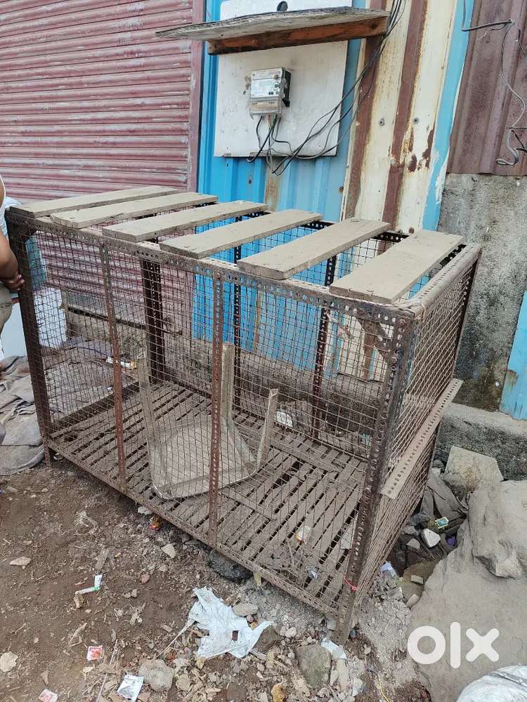 Jali pijra