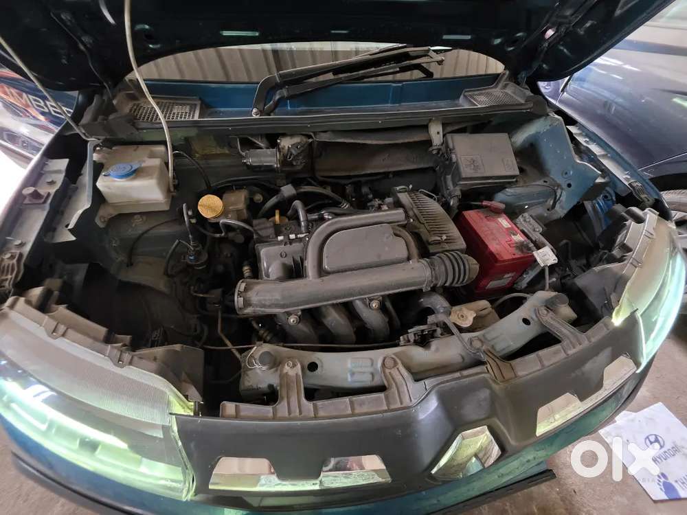 Mint Condition Less Driven Climber Automatic