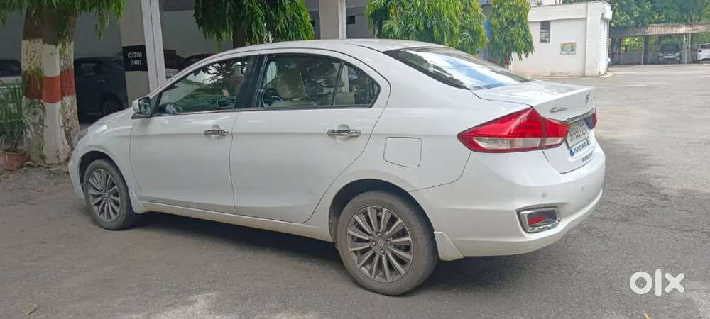 Maruti Suzuki Ciaz 2019 Alpha