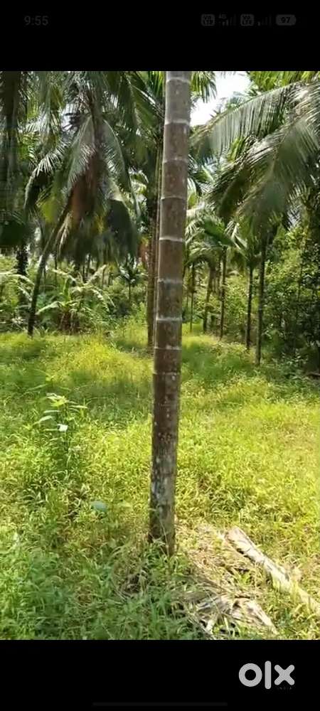 70cent Agriculture  land with  Tile house for sale