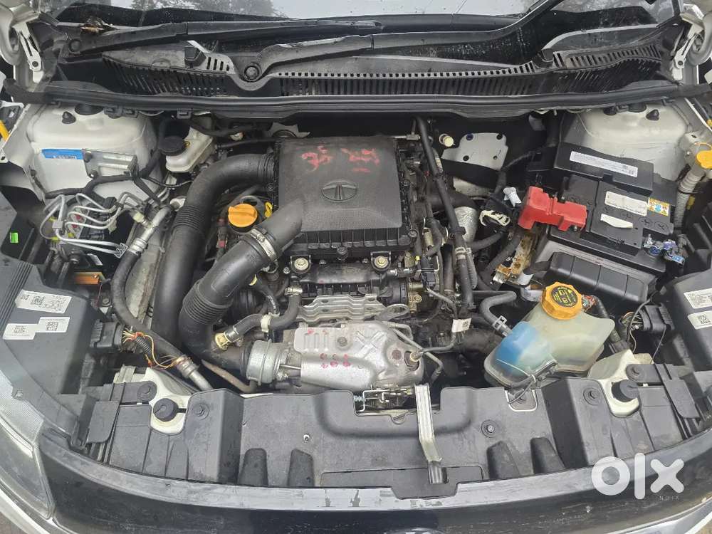 Tata Nexon 2023 Petrol 16433 Km Driven