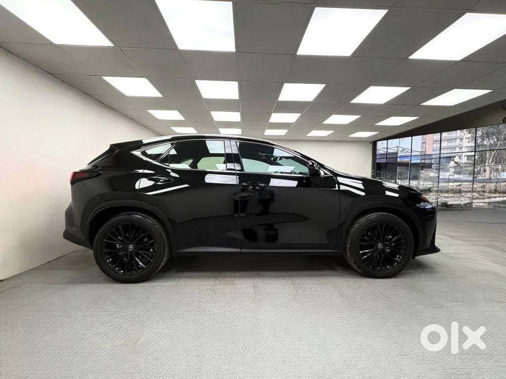 Lexus Nx 350h Exquisite, 2024, Petrol