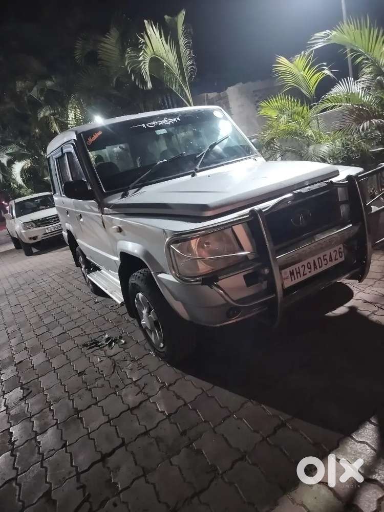 Tata Somo Gold