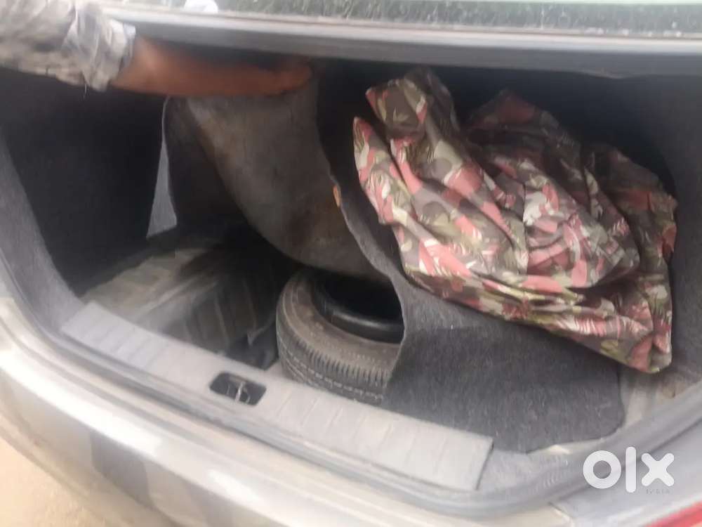 Nissan Sunny Petrol Xl 2011