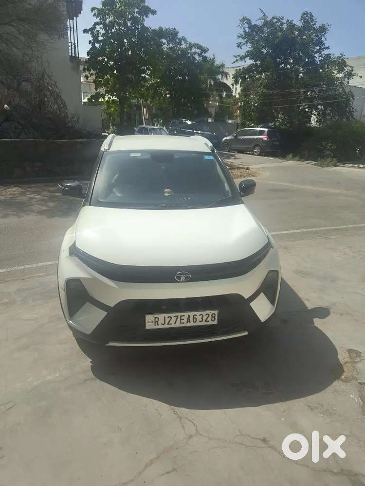 Tata Nexon Creative Plus 2023 Petrol Amt Well Maintained