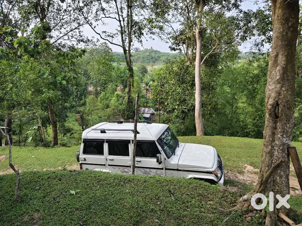 Mahindra Bolero Power 2019 Diesel