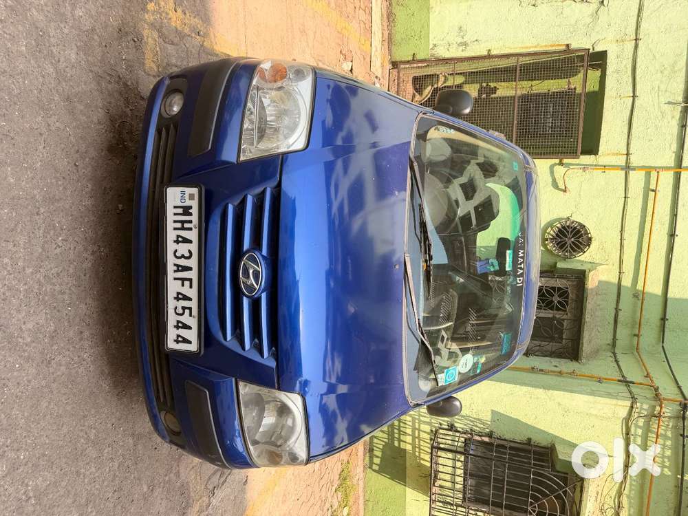 Hyundai Santro Xing 2010 Petrol