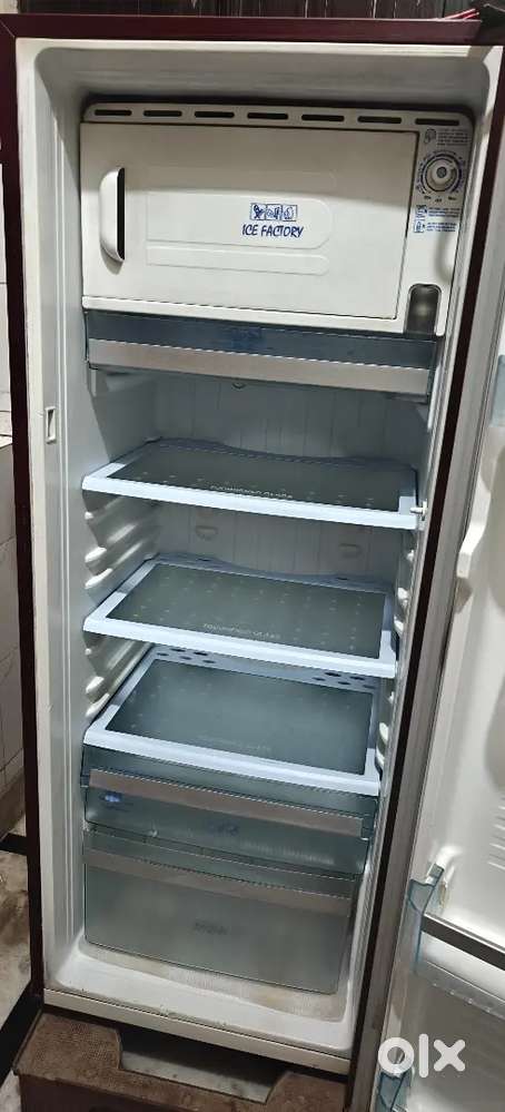 Haier brand fridge