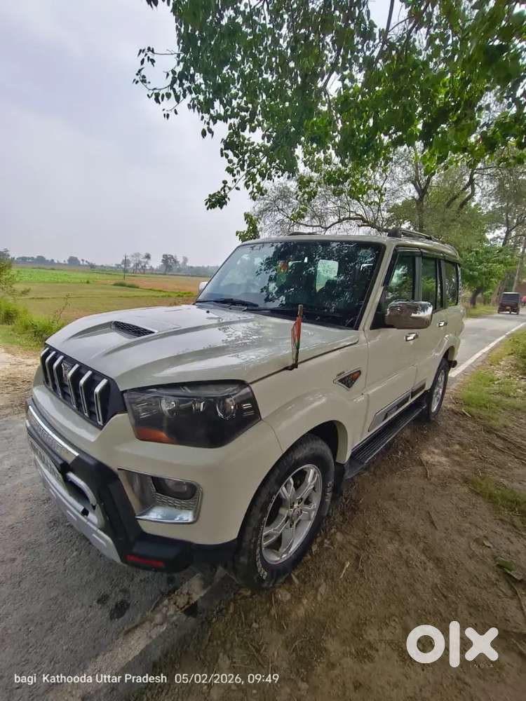 Arjent Hai