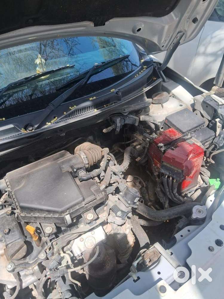 Maruti Suzuki Car 2024
