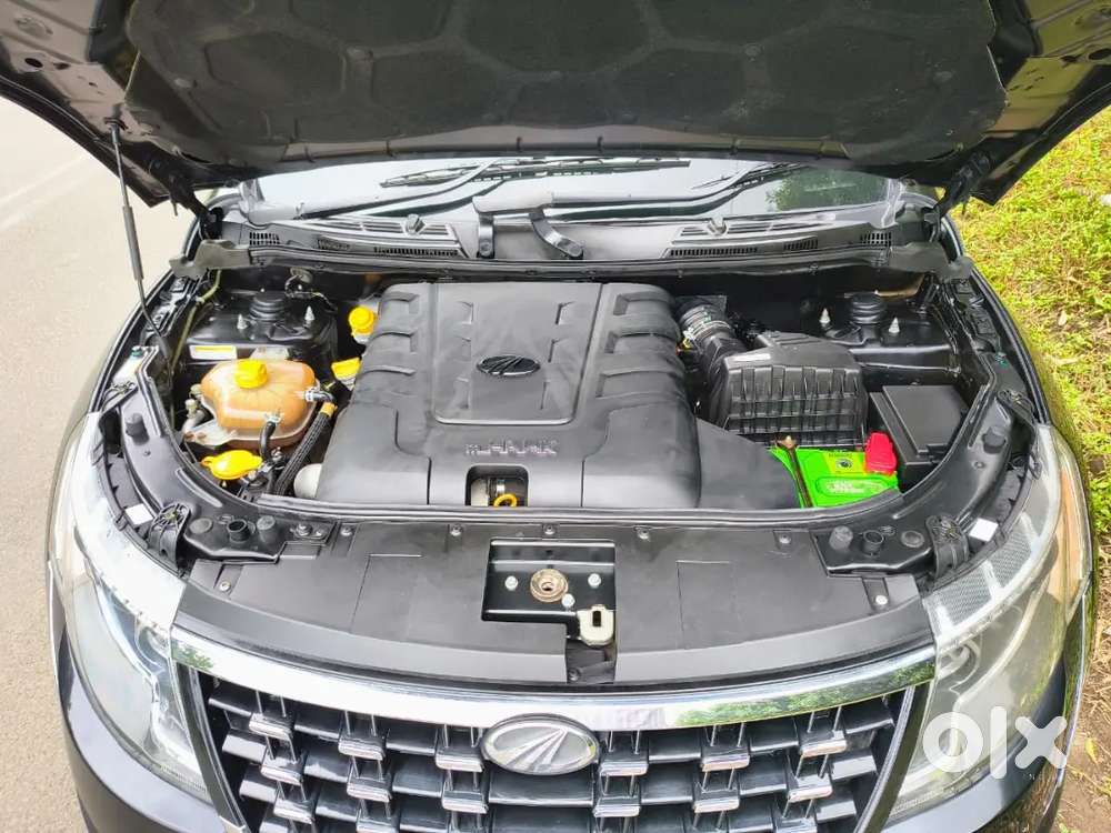 Flawless Condition With Maintained Showroom Service Record