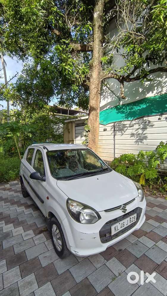 Alto 800 Vxi