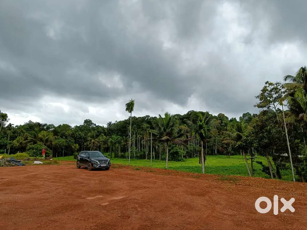 KOLENCHERY TOWN 1.1 KM 12 CENT RESIDENTIAL PADDY FRONTAGE PROPERTY